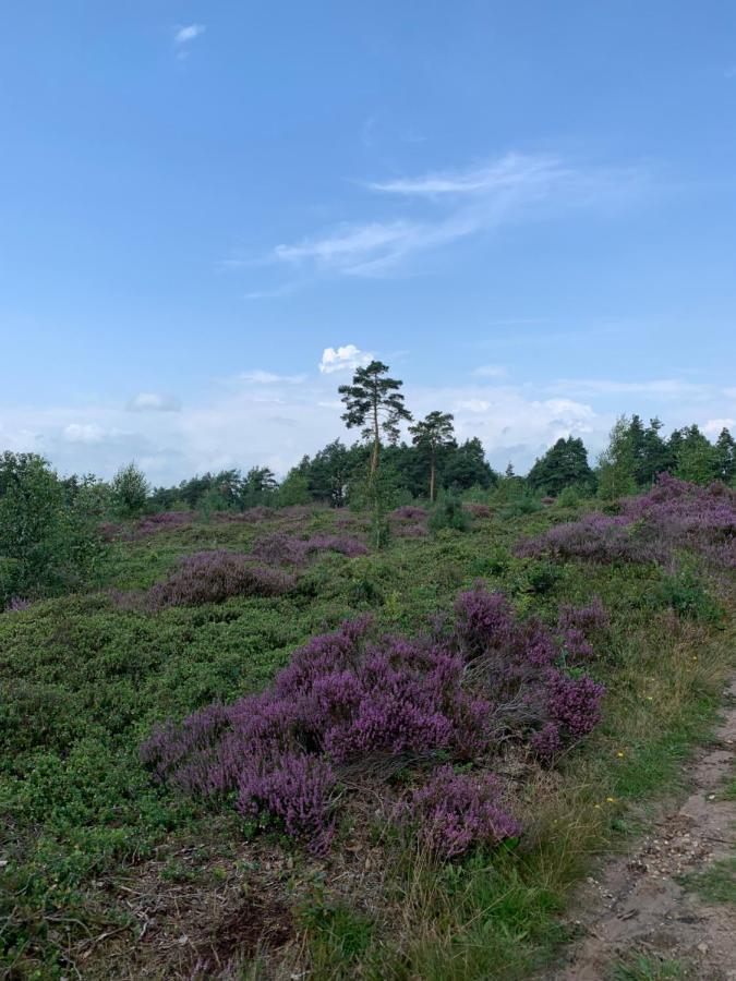 Bed and Breakfast Haarles Landleven Exterior foto