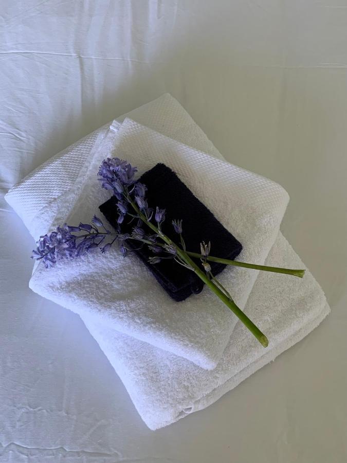 Bed and Breakfast Haarles Landleven Exterior foto